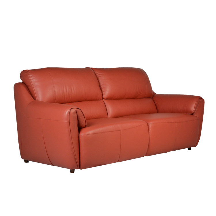 2.5 Seater Sofa in Leather | Berna