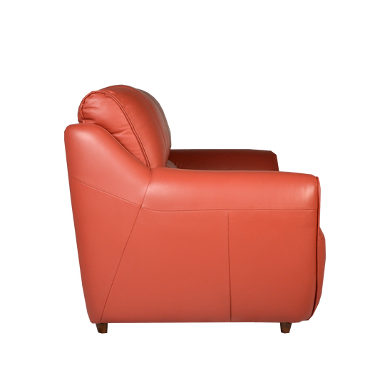 2 Seater Sofa in Leather | Berna
