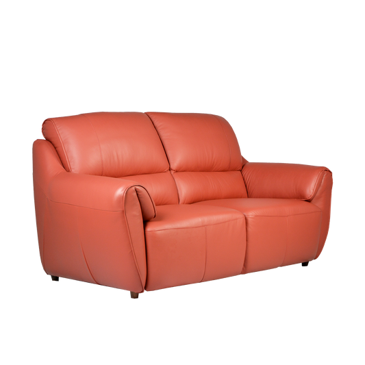 2 Seater Sofa in Leather | Berna