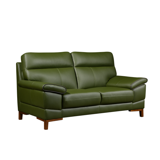 2 seater leather sofa green Convenient shopping OFF 57